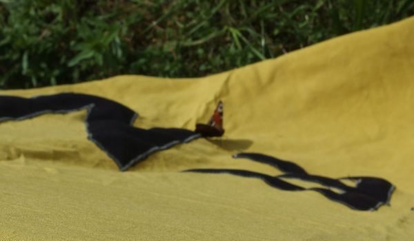 Für die Umweltfreund/innen unter den Vestpiraten